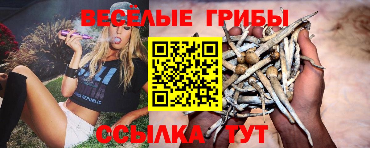 Галлюциногенные грибы GOLDEN TEACHER Псков