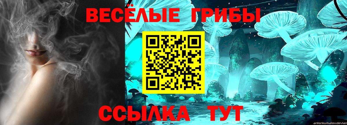 Псилоцибиновые грибы ЛСД  Вход с VPN  Псков  Галлюциногенные грибы прущие грибы 
